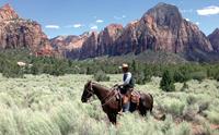 Zion National Park USA